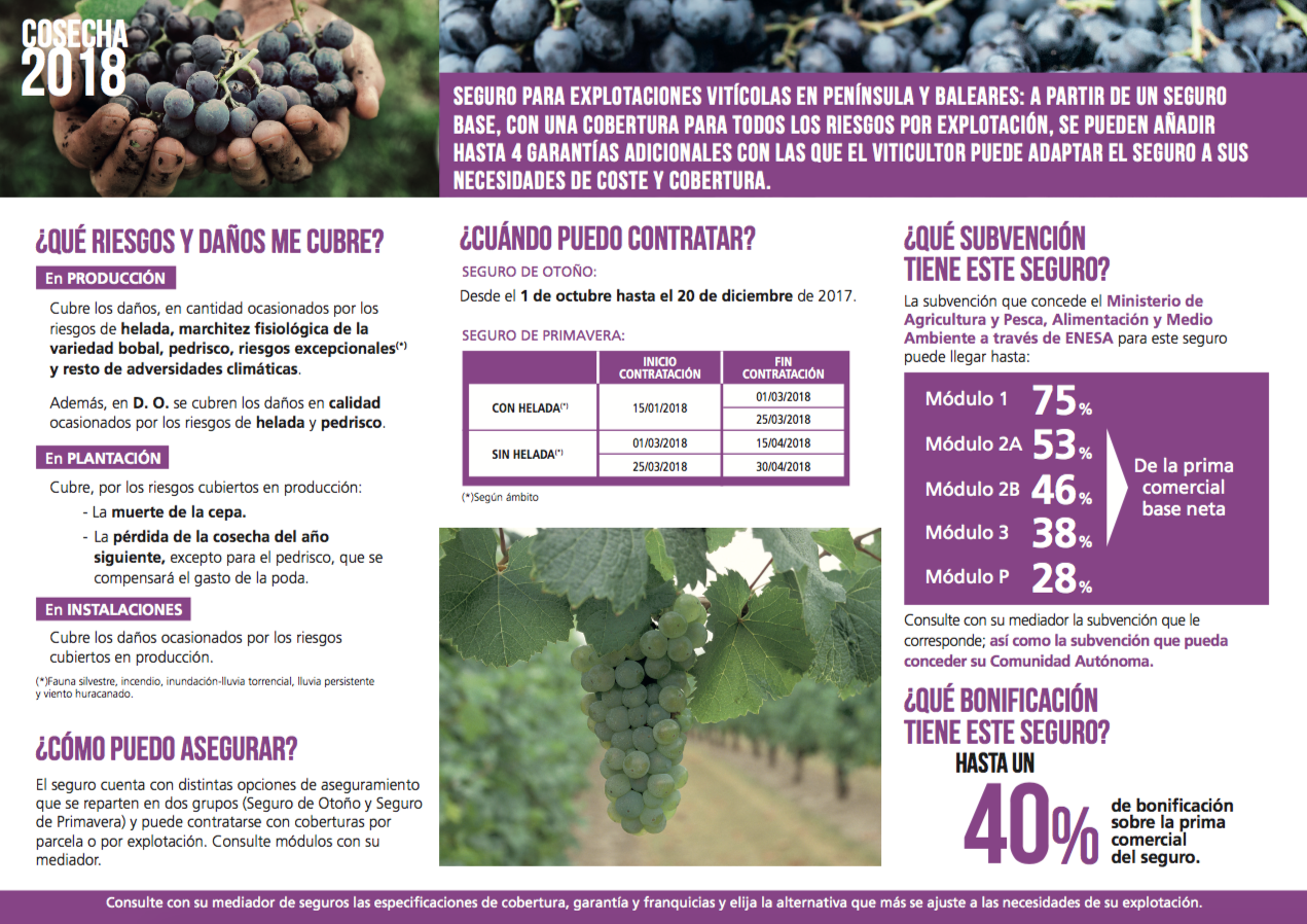 Assegurança vinya Agroindustrials